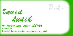 david ludik business card